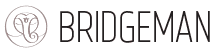 logo bridgeman