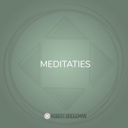 Meditations Robert Bridgeman