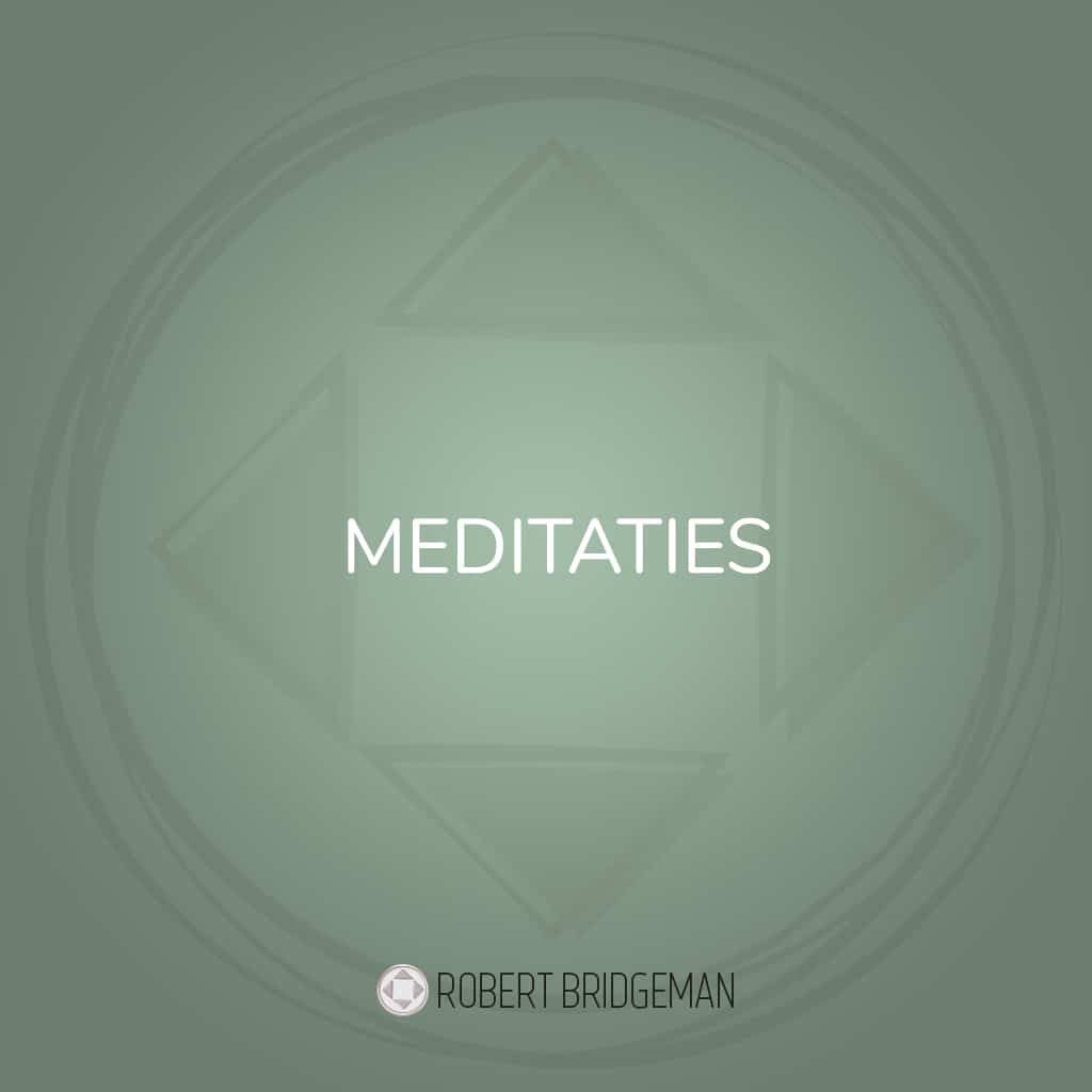 Meditations Robert Bridgeman