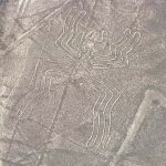 The NAZCA lines