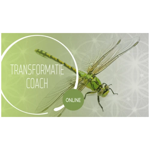 TCO_branding1900x1080-600x341 De essentie van transformatief coachen (online kennistraining)